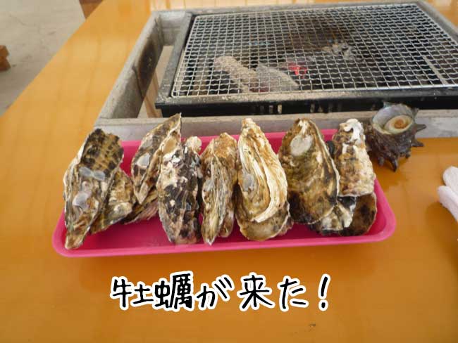 恵比須丸　牡蠣が来た