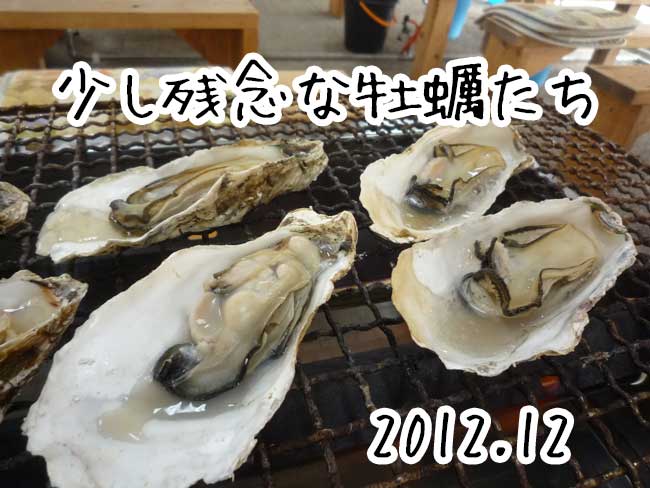 糸島牡蠣小屋　残念な牡蠣