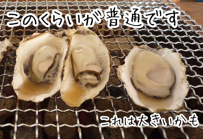 糸島牡蠣小屋　良い牡蠣