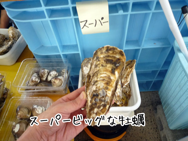 糸島牡蠣小屋　大きな牡蠣