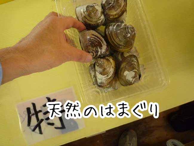 加布里漁港　ひろちゃん牡蠣　天然のハマグリ