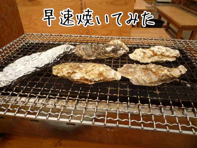 ケンちゃんかき　牡蠣