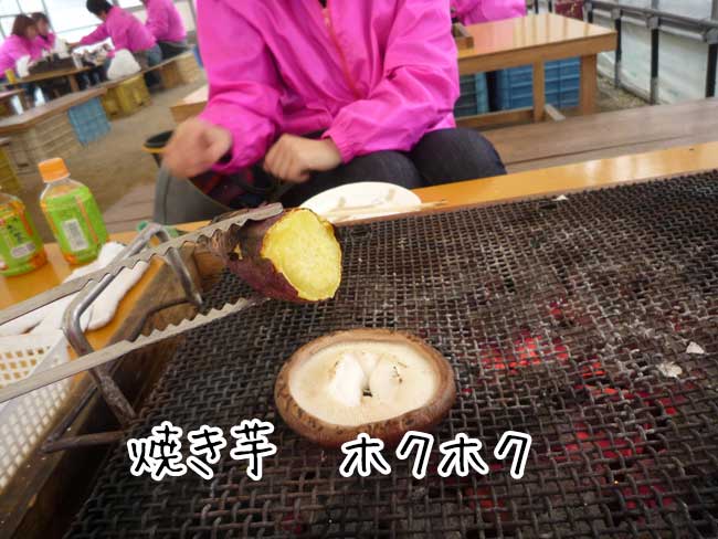 福吉漁港　伸栄丸（佐々木）焼き芋